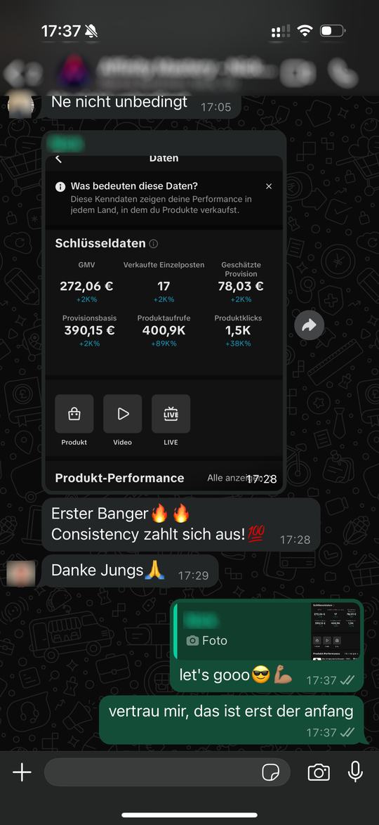 Chat-Screenshot: Mitglied teilt Statistik mit 78 € Provision