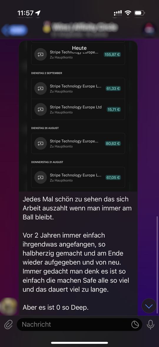 Chat-Screenshot: mehrere Provisions-Auszahlungen auf dem Konto eines Mitglieds