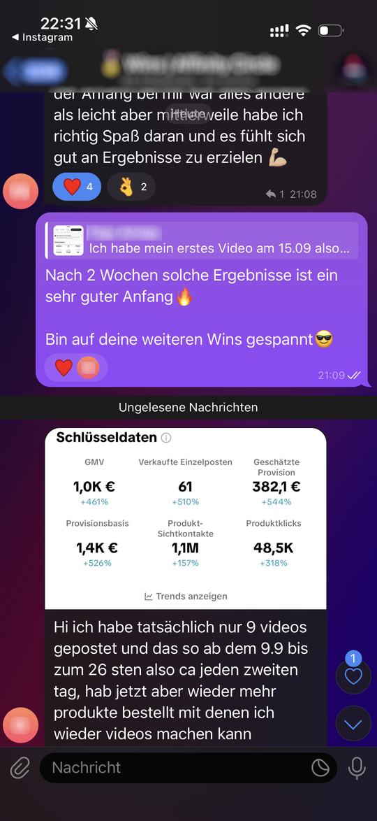 Chat-Screenshot: Mitglied mit 382 € Provision nach 9 Videos